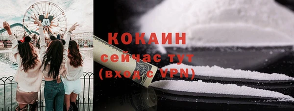 хмурый Абаза