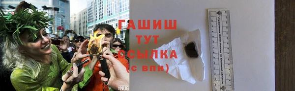 хмурый Абаза