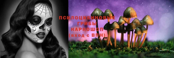 хмурый Абаза