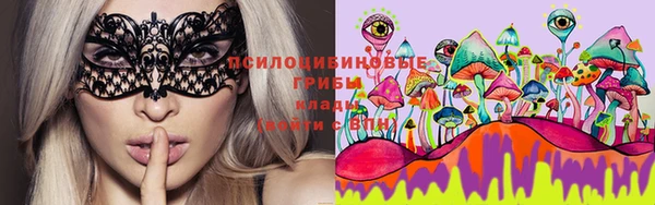хмурый Абаза