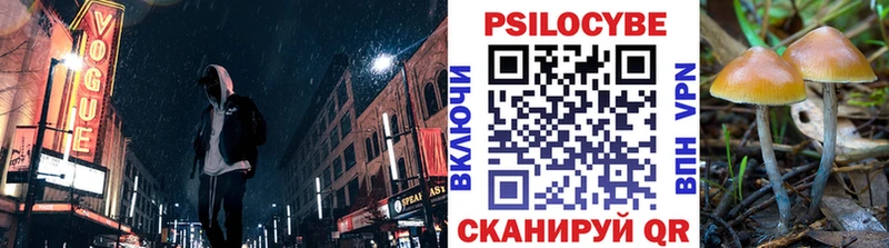 продажа наркотиков  Сычёвка  Псилоцибиновые грибы прущие грибы 